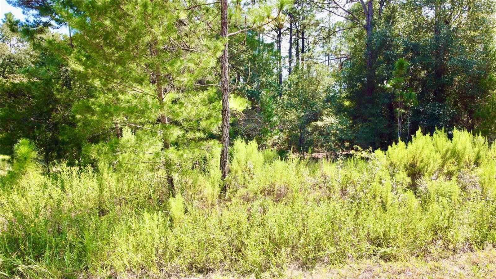 20500 SW AUDUBON Ave  