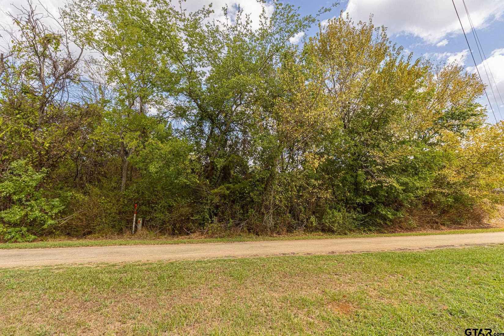 TBD Lot 2 Pecan Dr  
