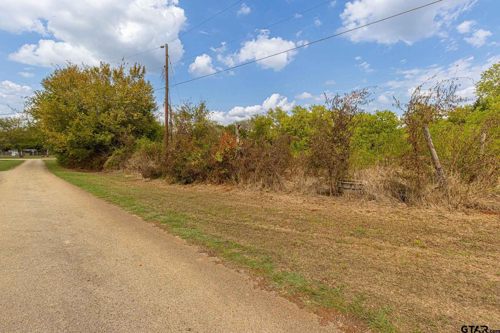 TBD Lot 3 Pecan Dr  