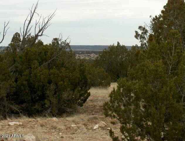 Lot 302 Chevelon Canyon Rnch --  