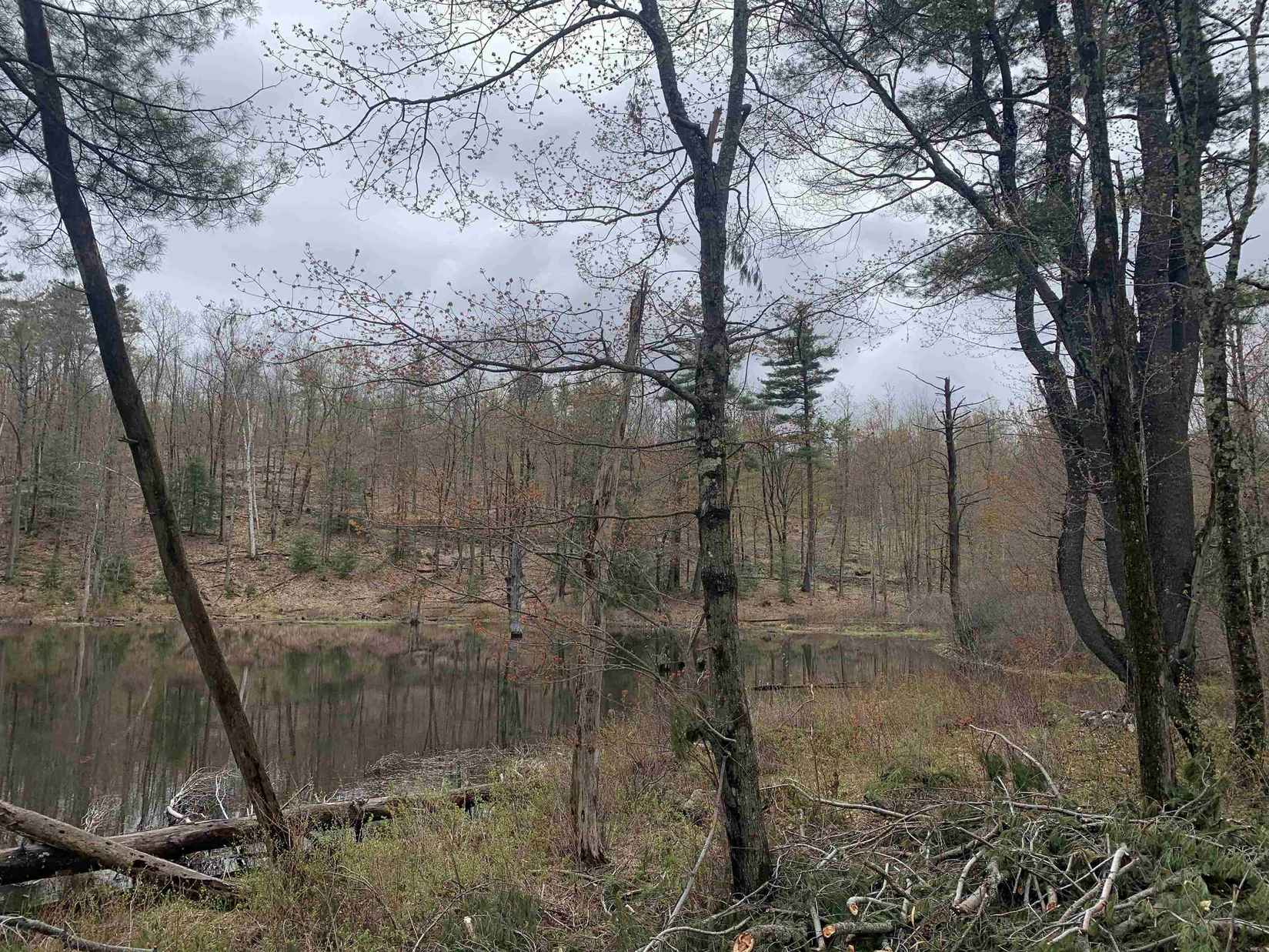 Map 52 Lot 2B Pratt Rd  