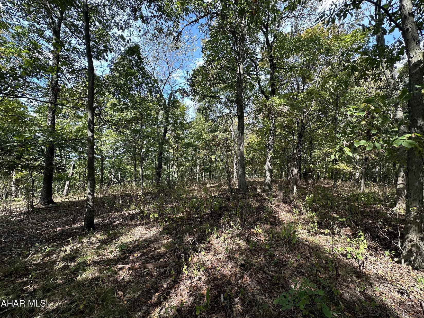 Lot 1 Glade Pike Ests  