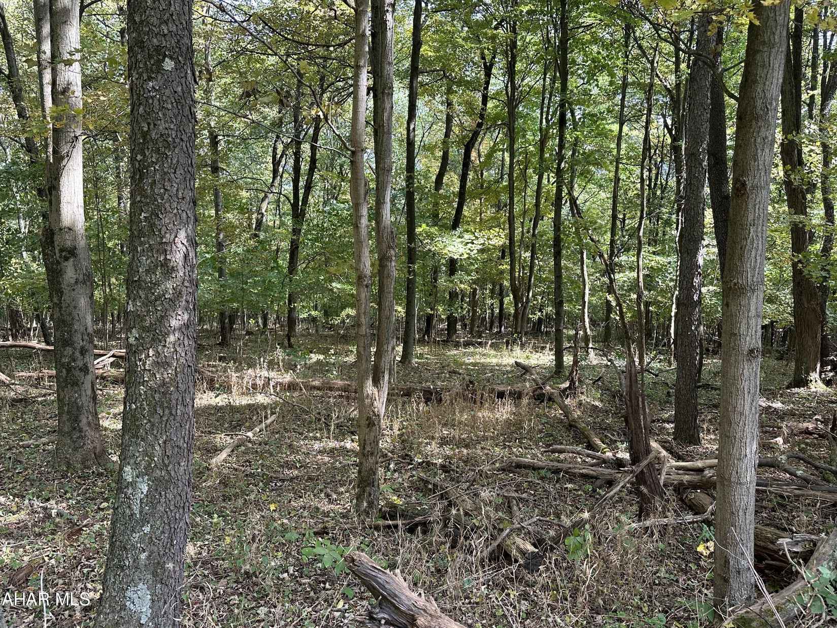 Lot 2 Glade Pike Ests  