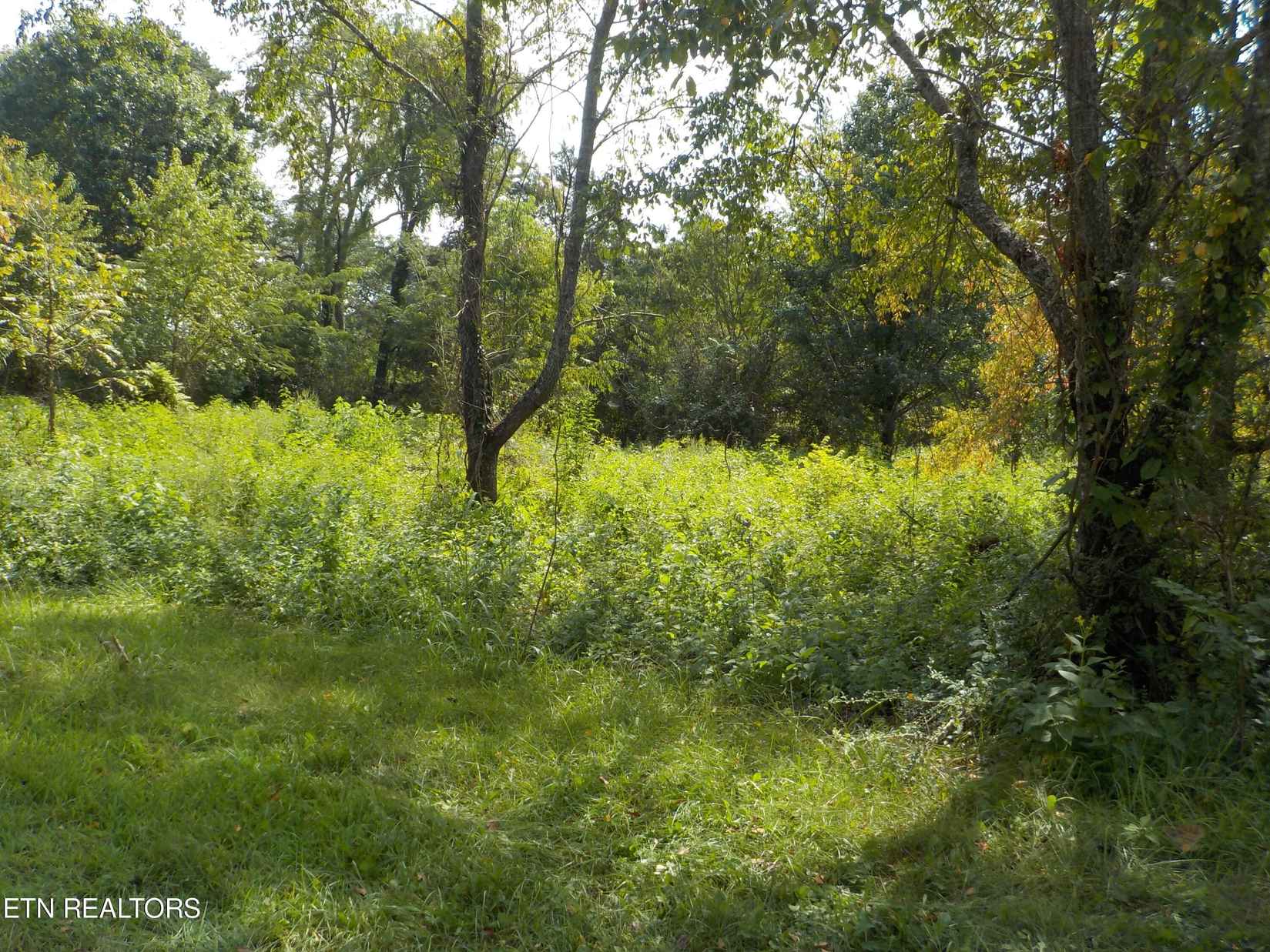 Lot 12 Old Lee Hwy  