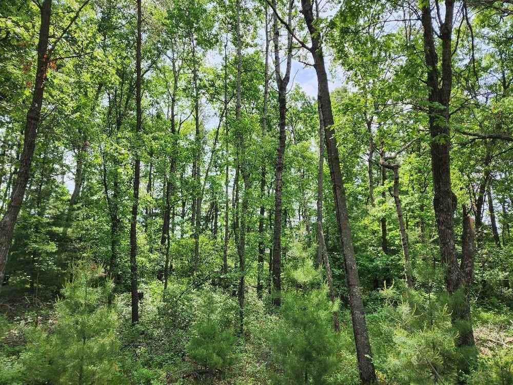 Lot 11 W 17th Dr  