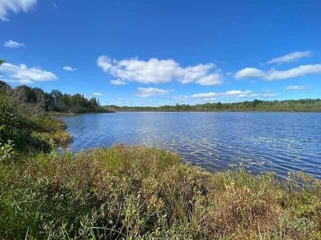 Pt Lot 119 W Birch Shr Dr  