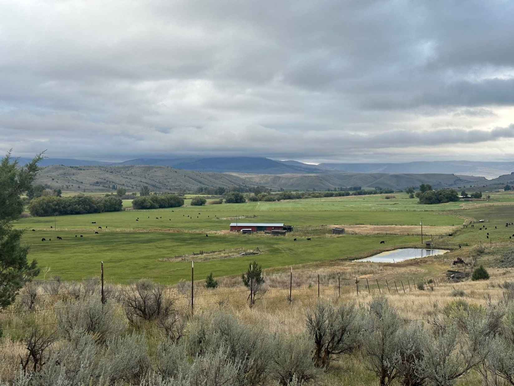 483 Acres  