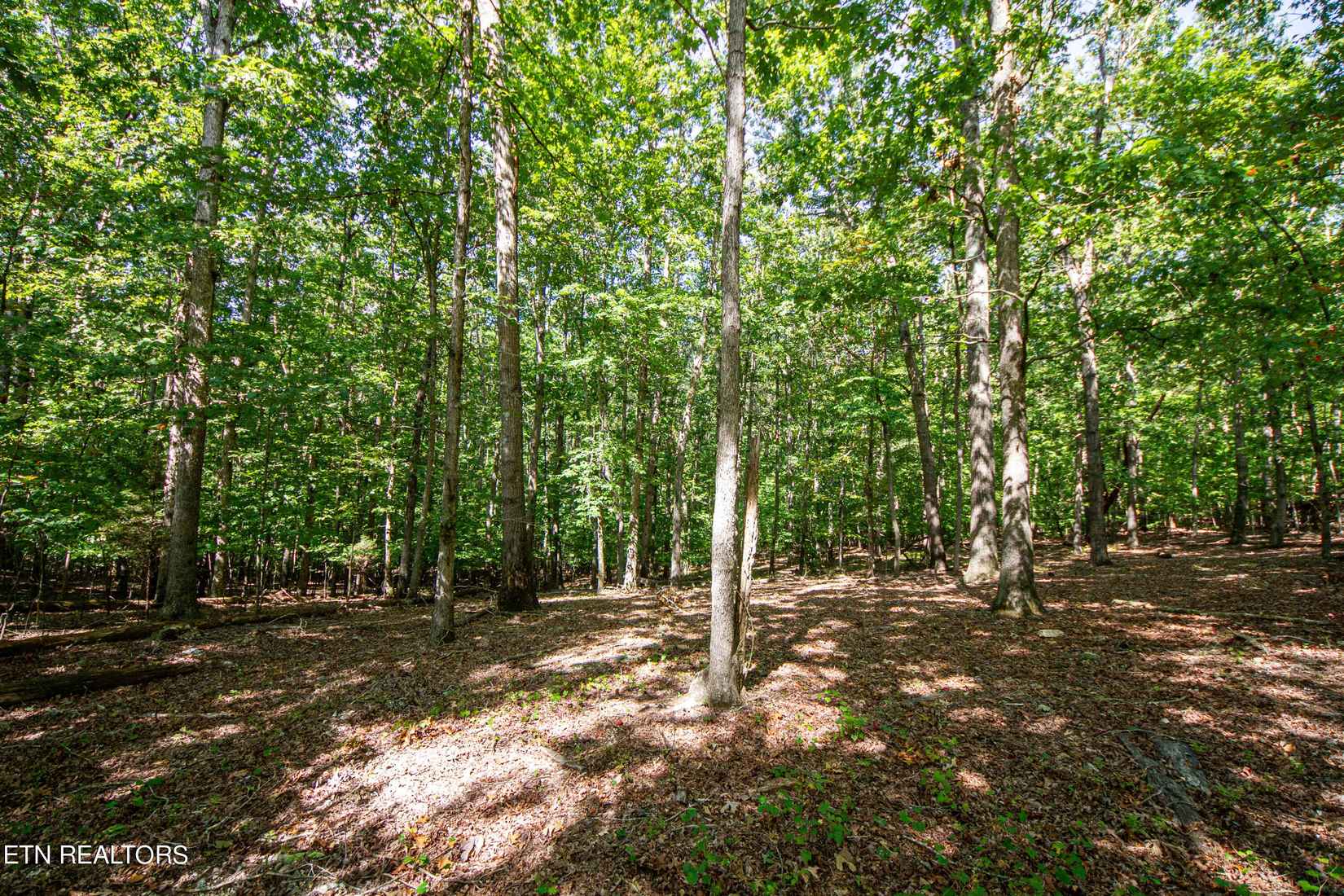 1515 Old Dogwood Tr  