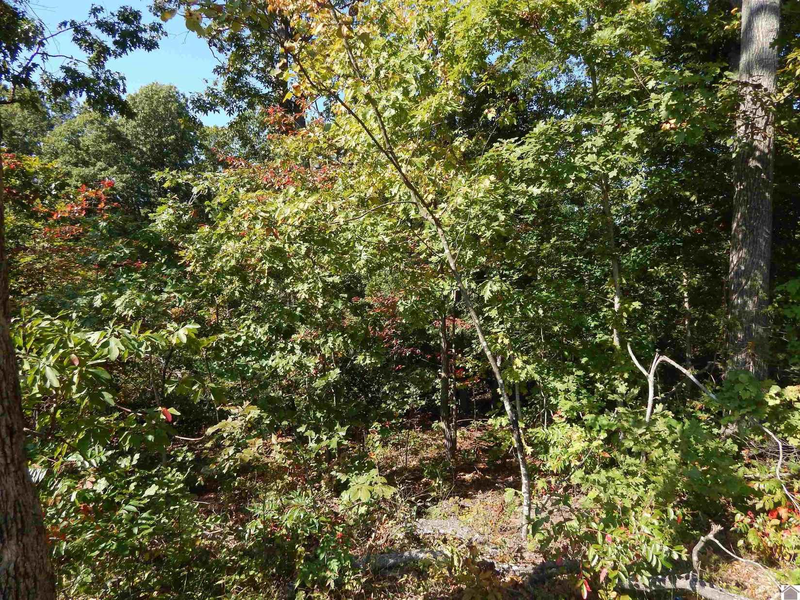 Lot 39 Wallace Cemetery Ln  