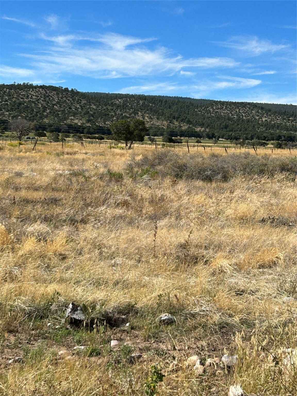 Tract 2-2a Hwy 110  