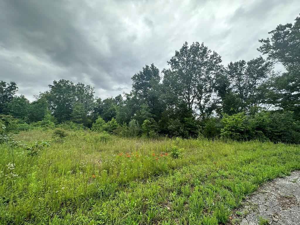 066 Beauchamp Rd  