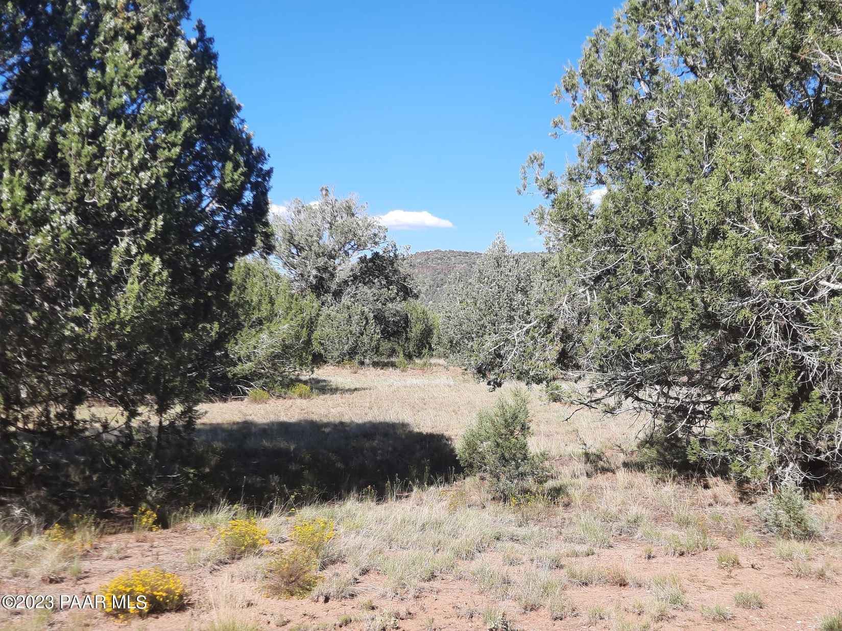 Lot 899 W Proud Juniper Rd  