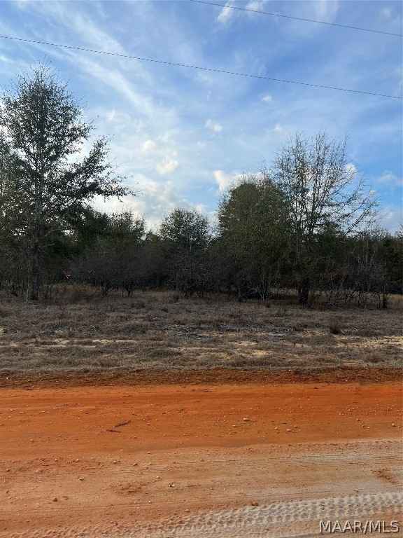 Lot 42 Deer Loop  