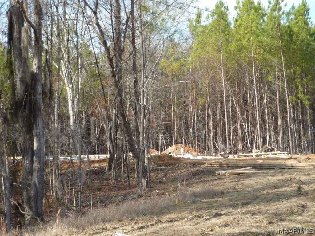 Lot 2 Doe Run Ct  