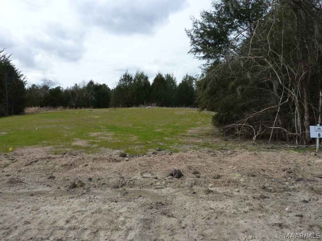 Lot 16 Doe Run Ct  