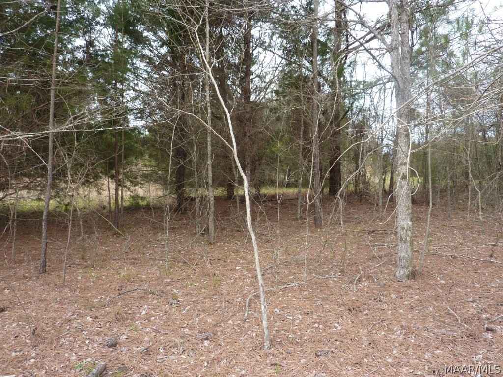 Lot 7 Doe Run Ct  