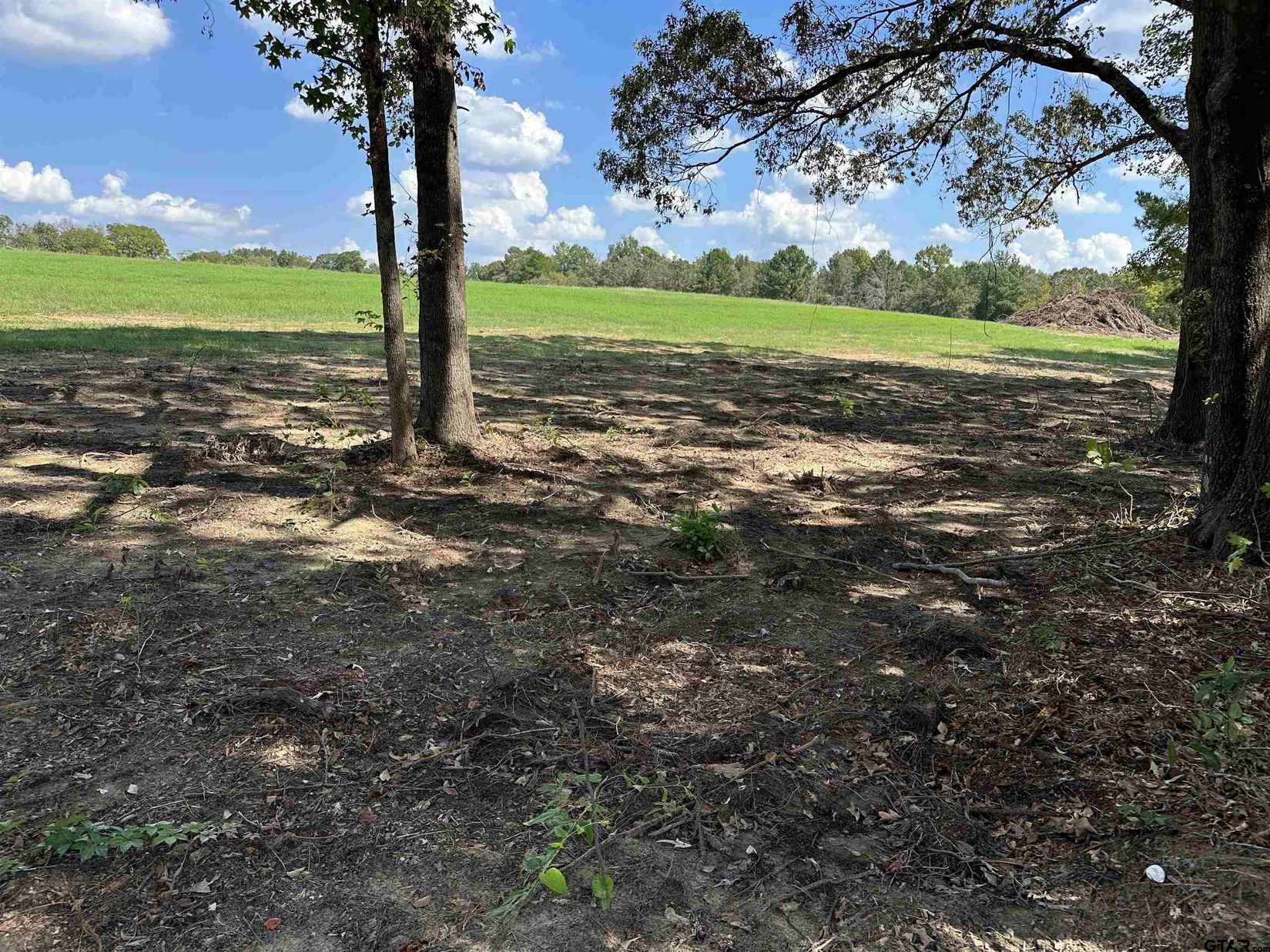 TBD LOT 4 COUNTY ROAD 409 D  