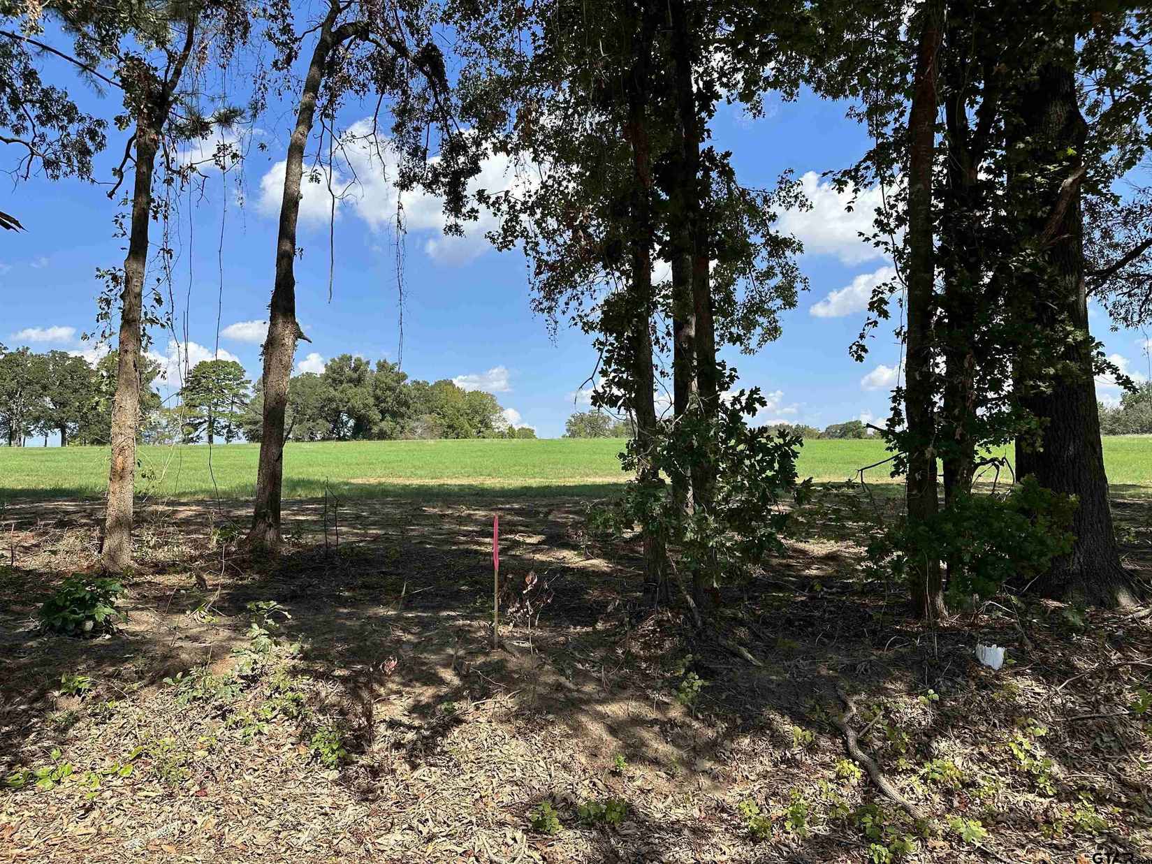 TBD LOT 5 COUNTY ROAD 409 D  