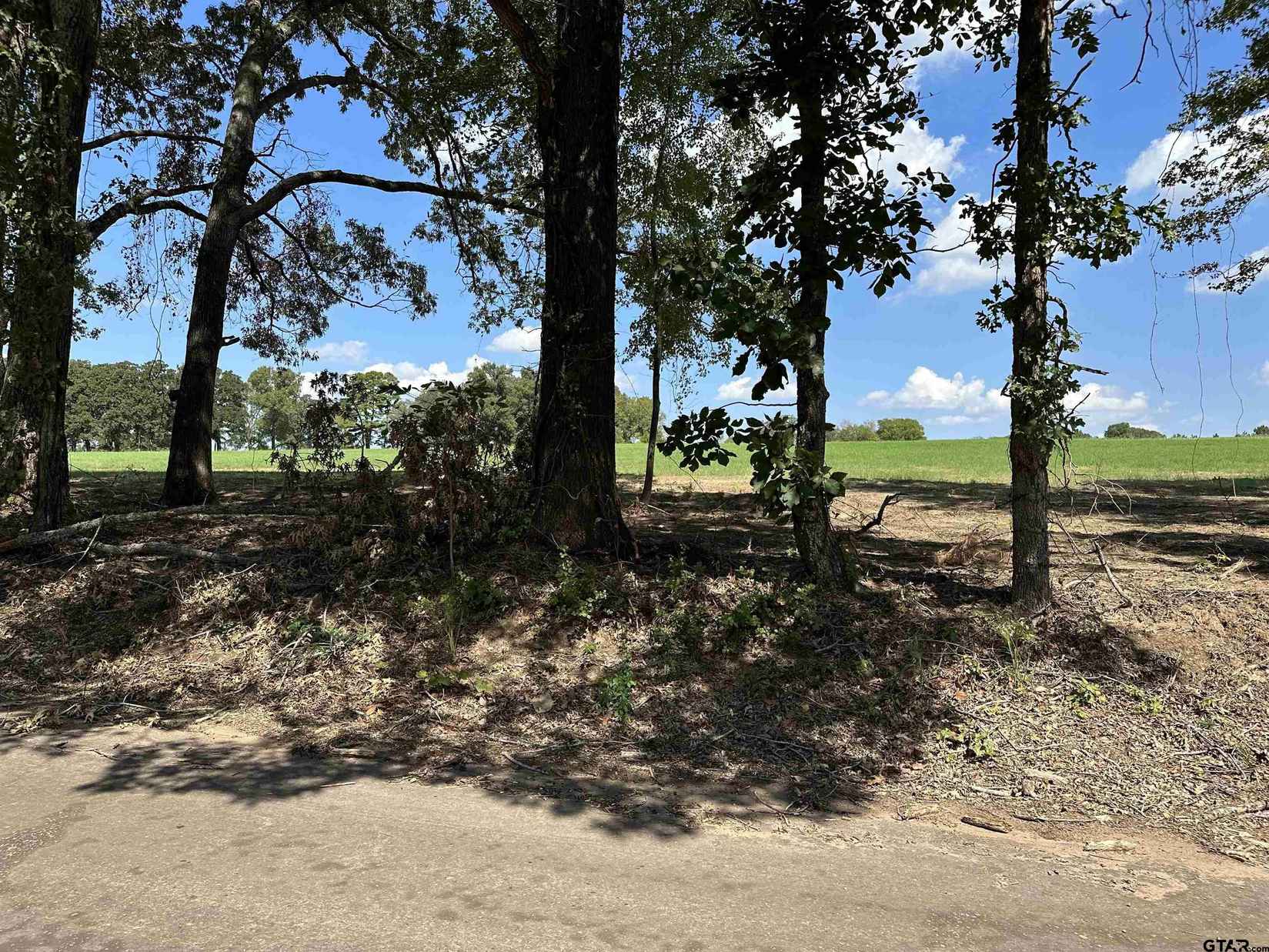TBD LOT 6 COUNTY ROAD 409 D  