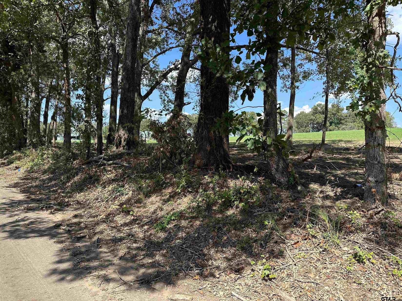 TBD LOT 8 COUNTY ROAD 409 D  