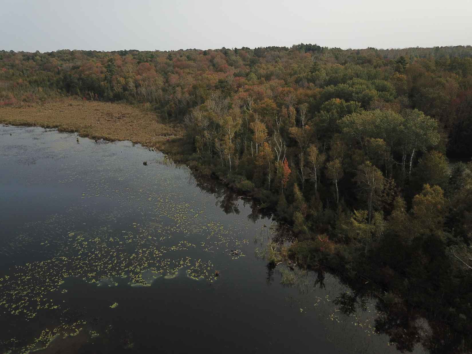 Lot 51 Dexter Rd  
