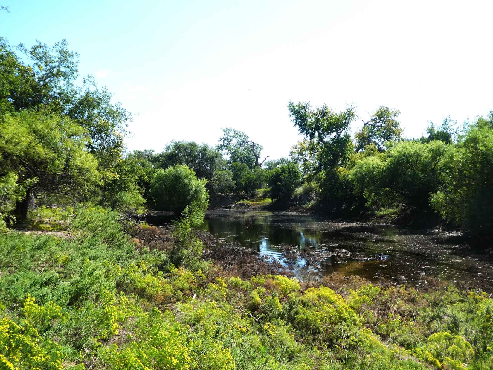 3616 County Rd 30  