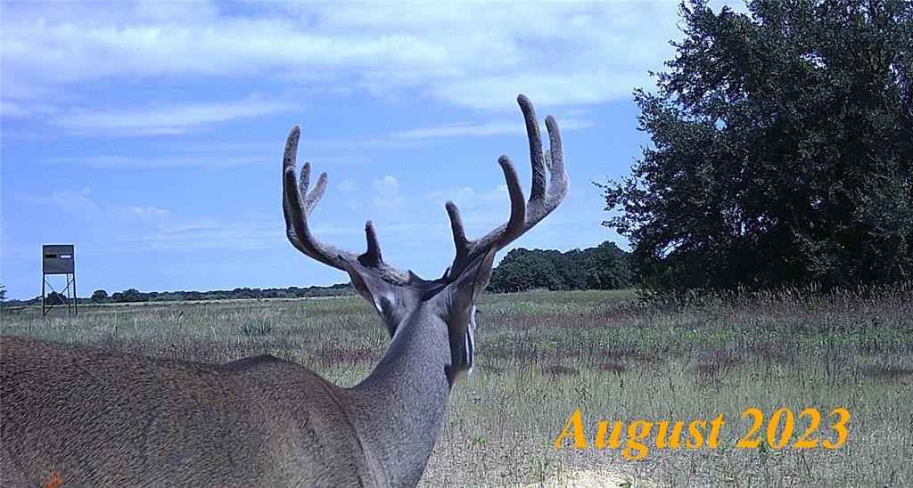 Tbd TBD CR 380  