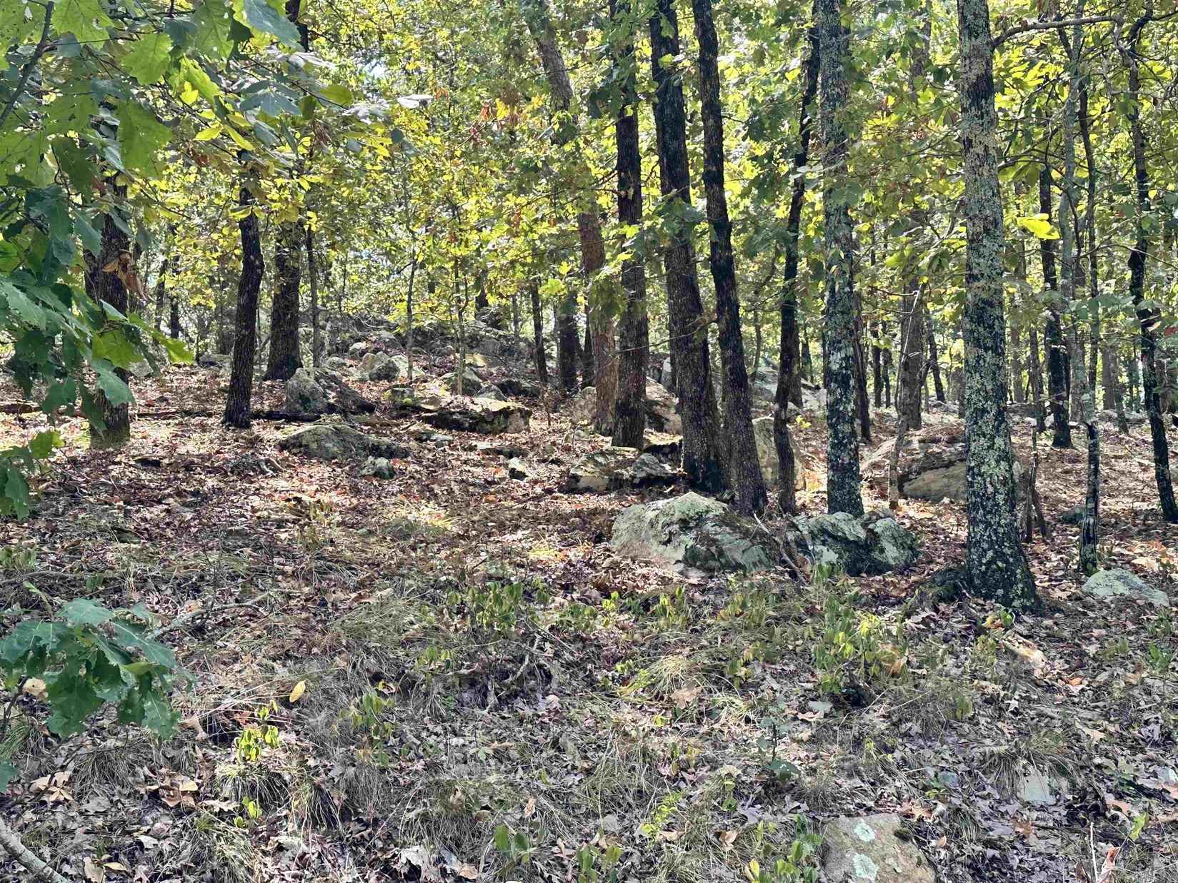 Lot 8 Medina Way  