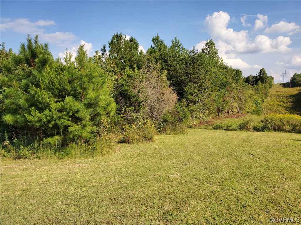 17 21 Acres Hicks Ln Rd  