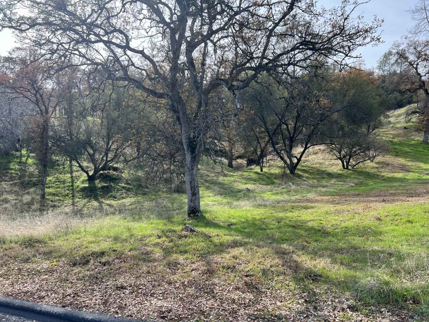893-Lot Jim Bowie Ct  