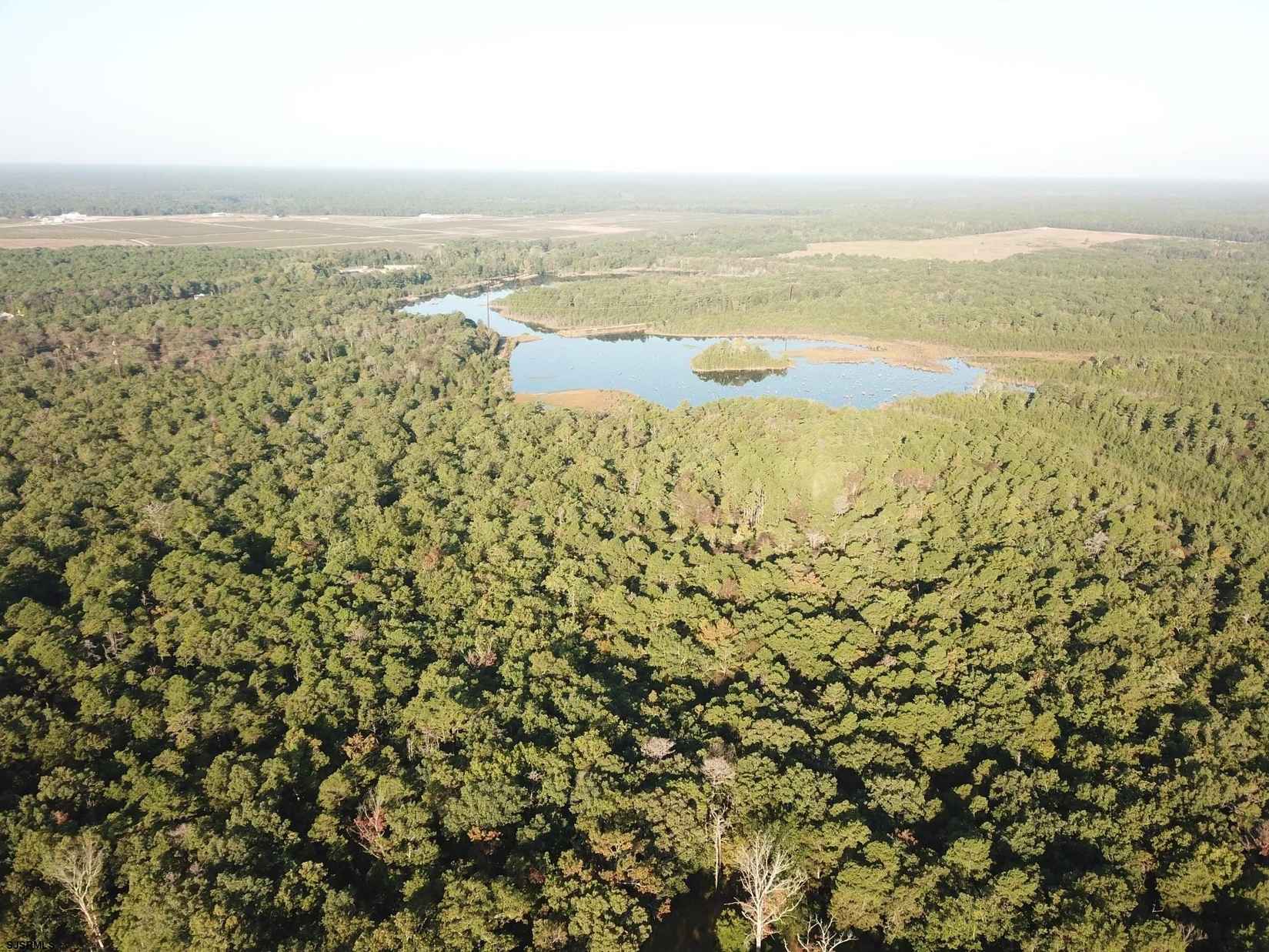 Route 50 (County Blvd)  