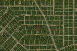 1203 East Illinois Ave  