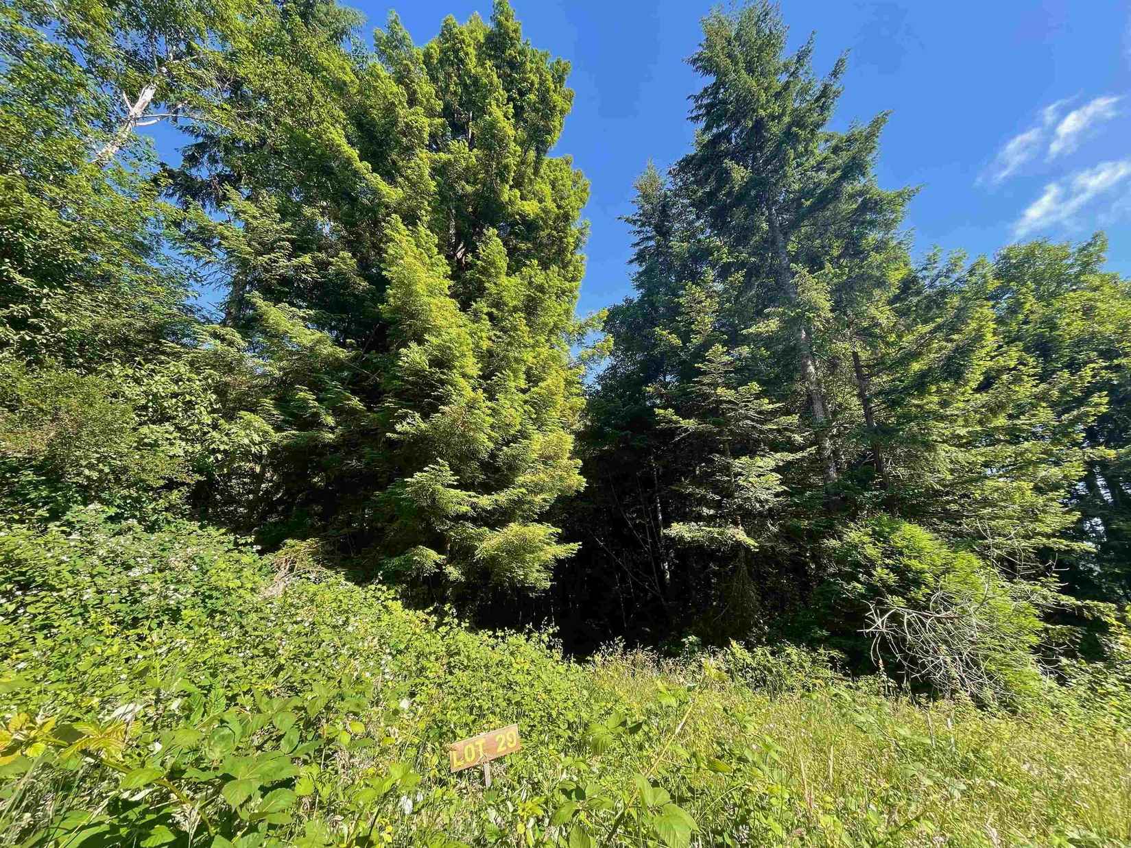 Lot 29 Bell Hole  