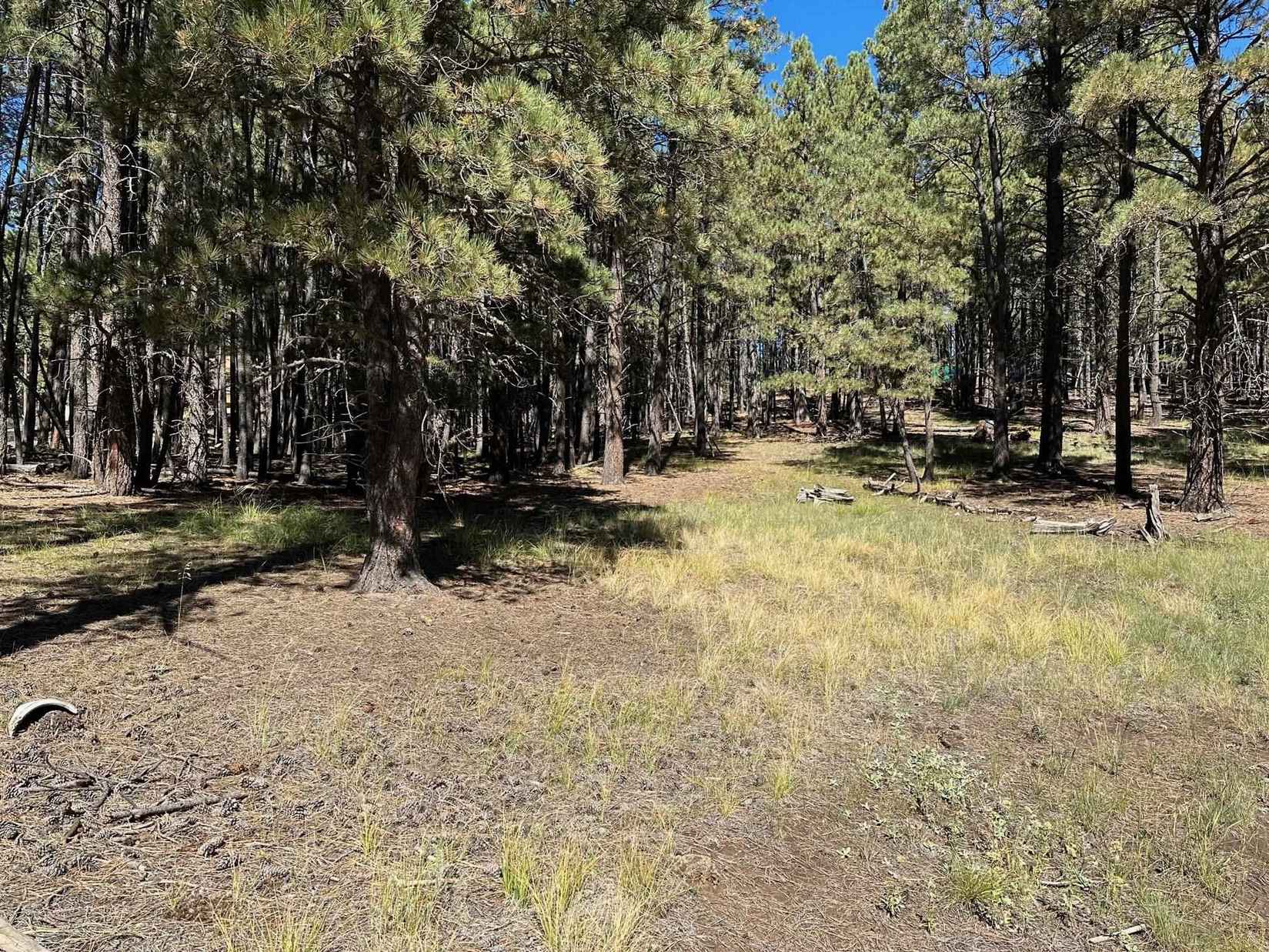 Lot 8 Blk D St Andrews Way  