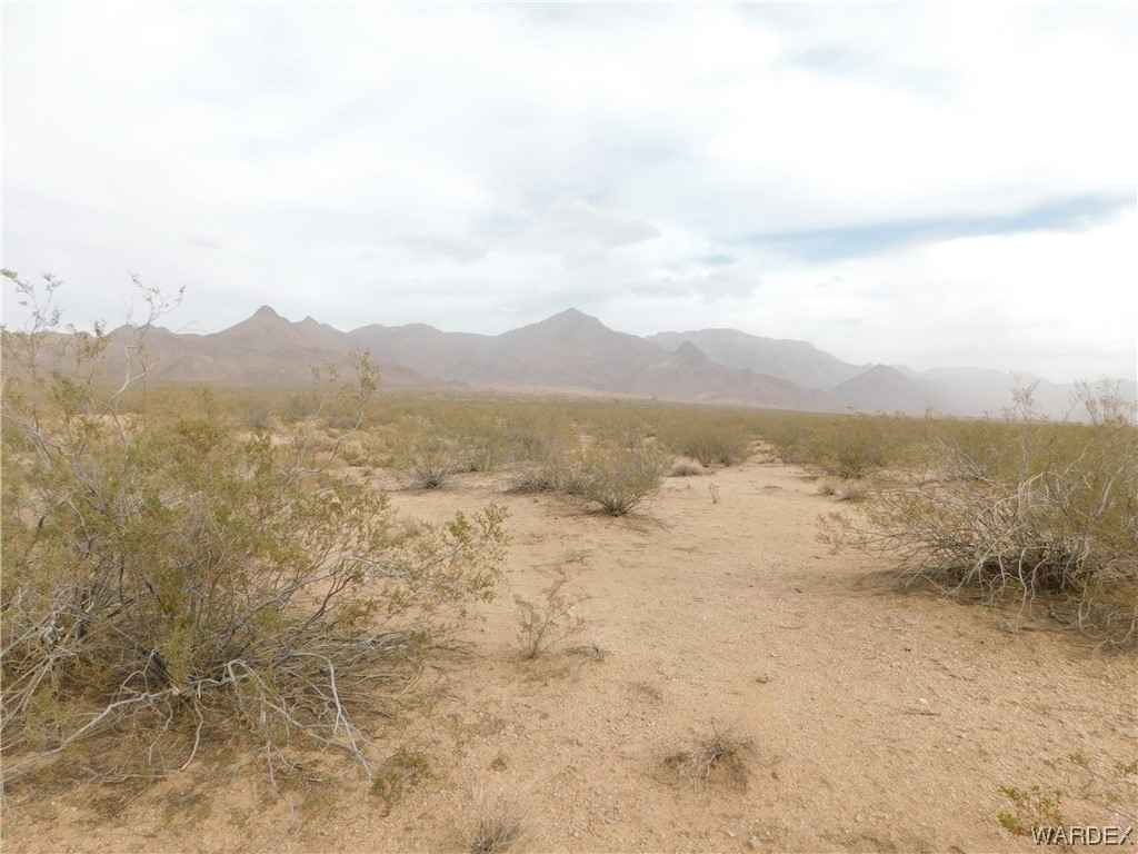3 Lots E Buena Vis Blvd  
