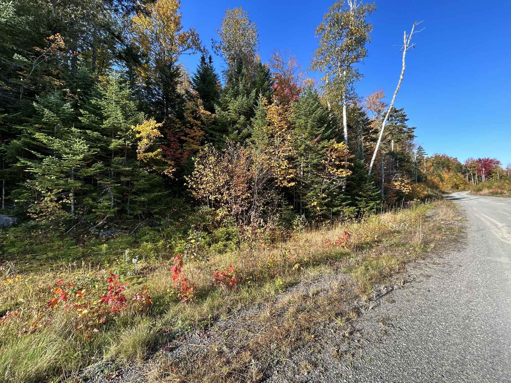 Lot 8 West Side Dr  