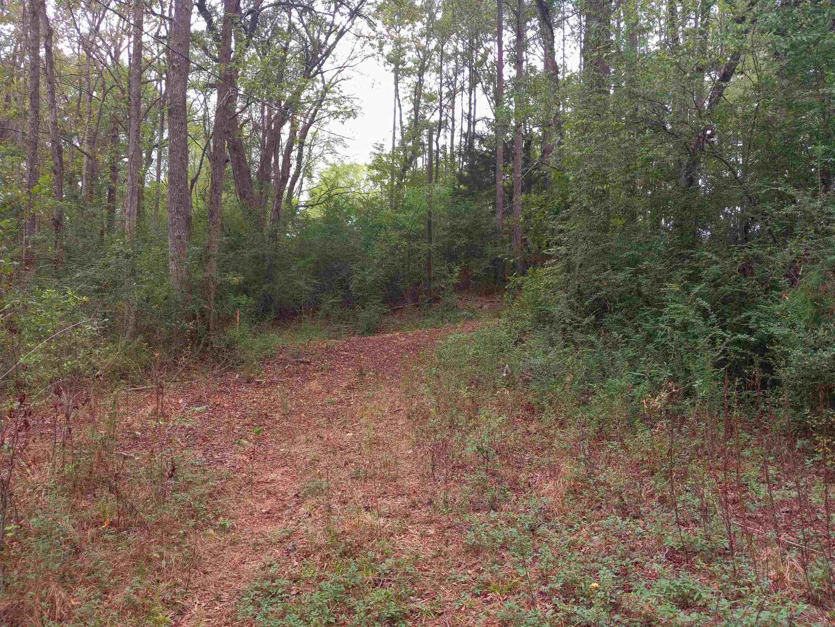 12473 W Hwy 7  