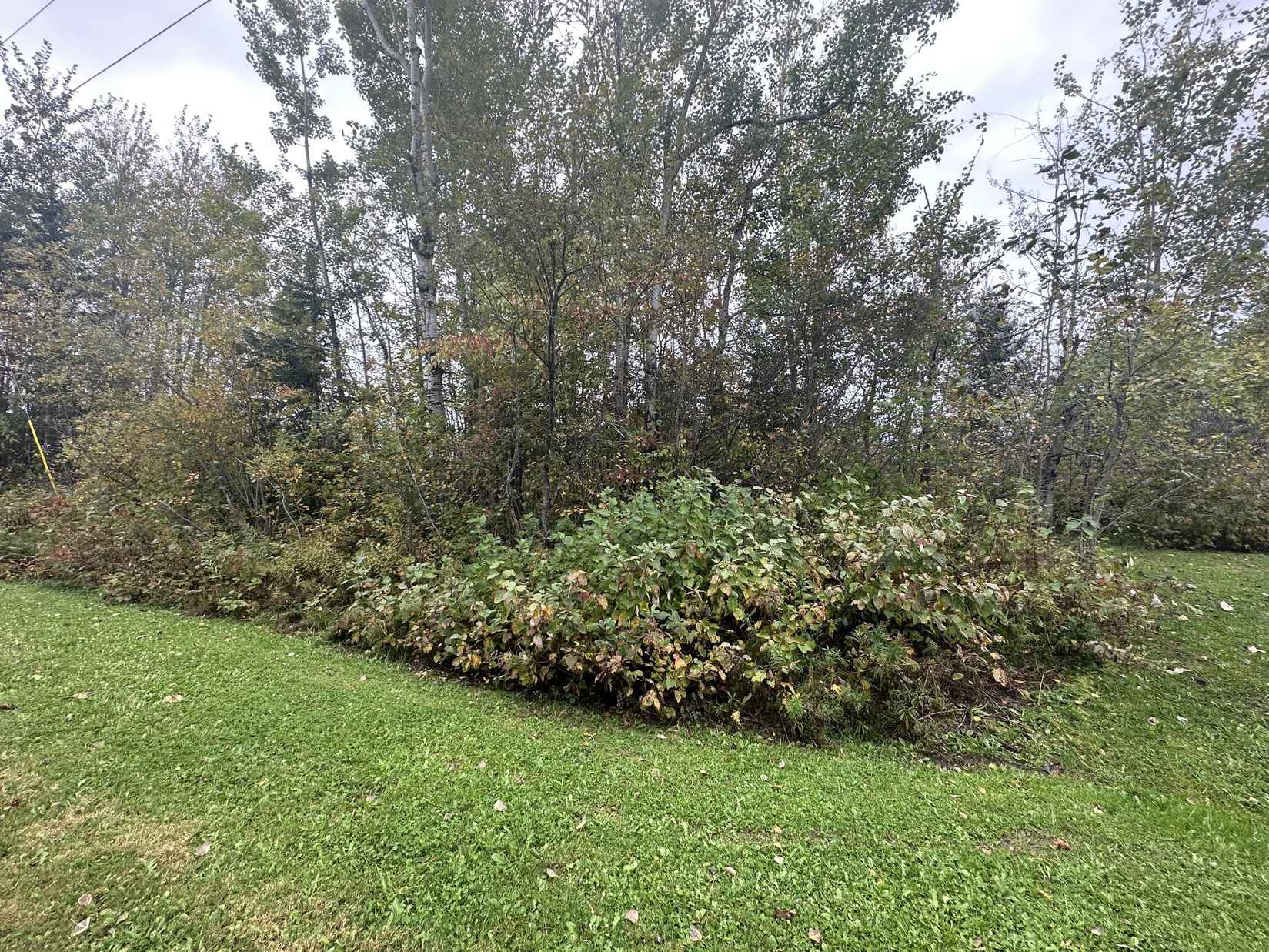 Lot 8-16 University St  