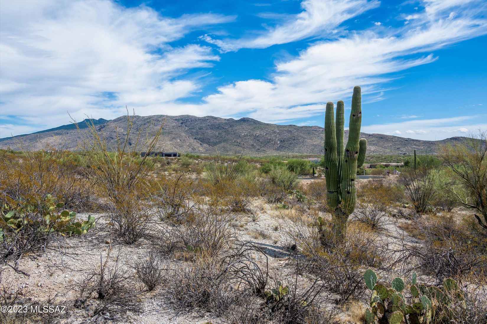 4190 S Saguaro Path Ct  