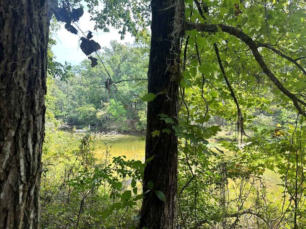 15 16 17 Englewood Dr  