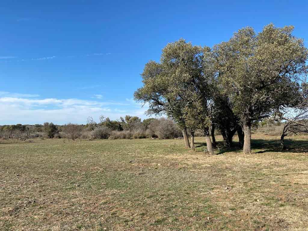 000 Jack Rabbit Rd Tract 10  