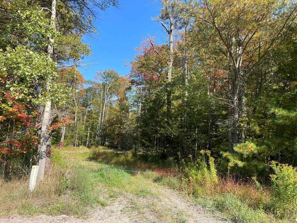 0 Saco Rd  