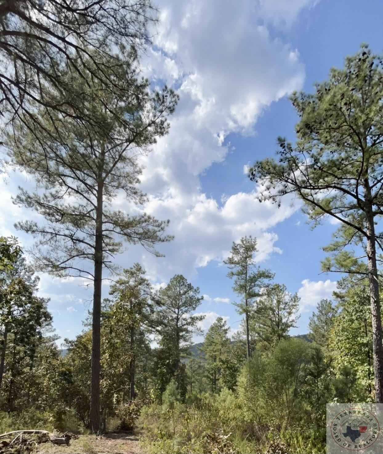 20 Acres Cedar Crk Rd  