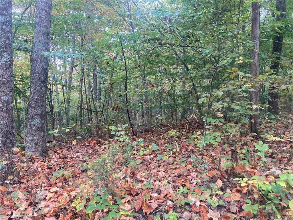 Tract 5 E Pilot Knob Rd  