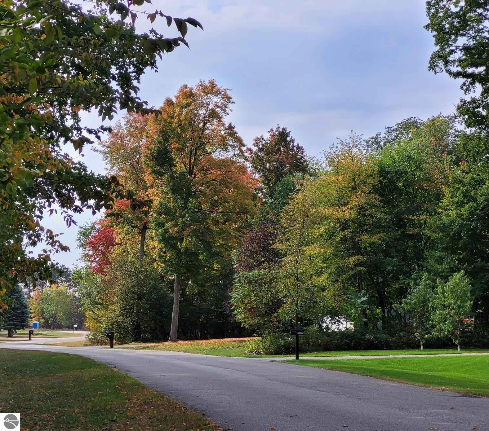 Lot 21 Lipp Farm Rd  