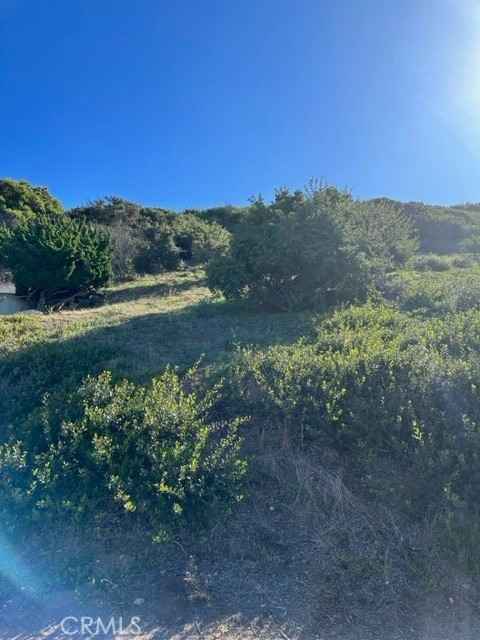 1004 Palos Verdes Dr W  