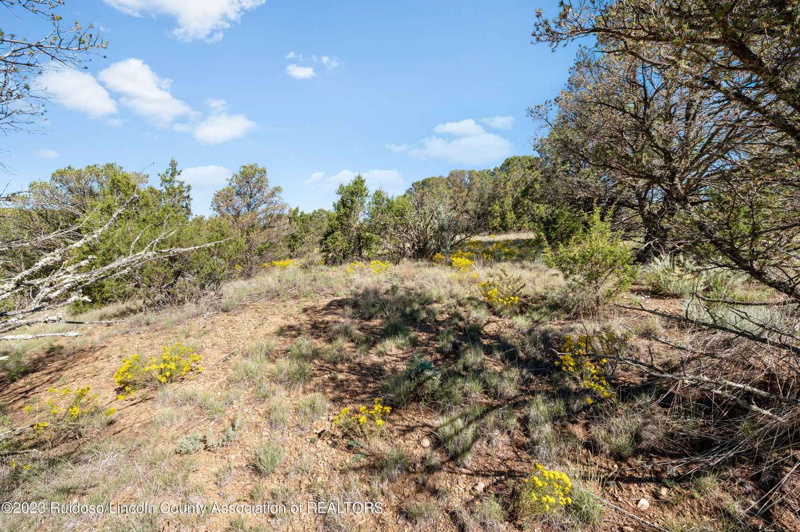Lot A State HWY 37  