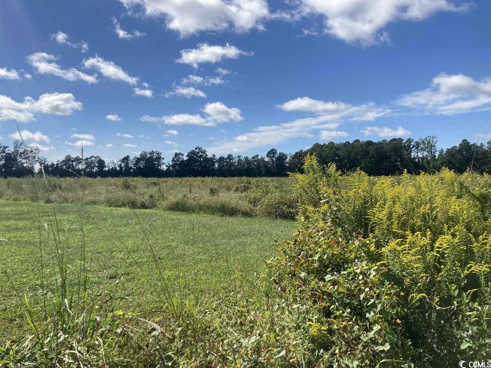 TBD Hwy 261  