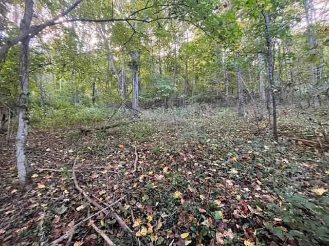 6 Acres Whetstone Dr  
