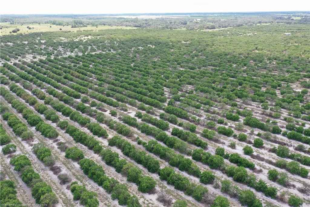 10192 Hocus Pocus Trl Trl  